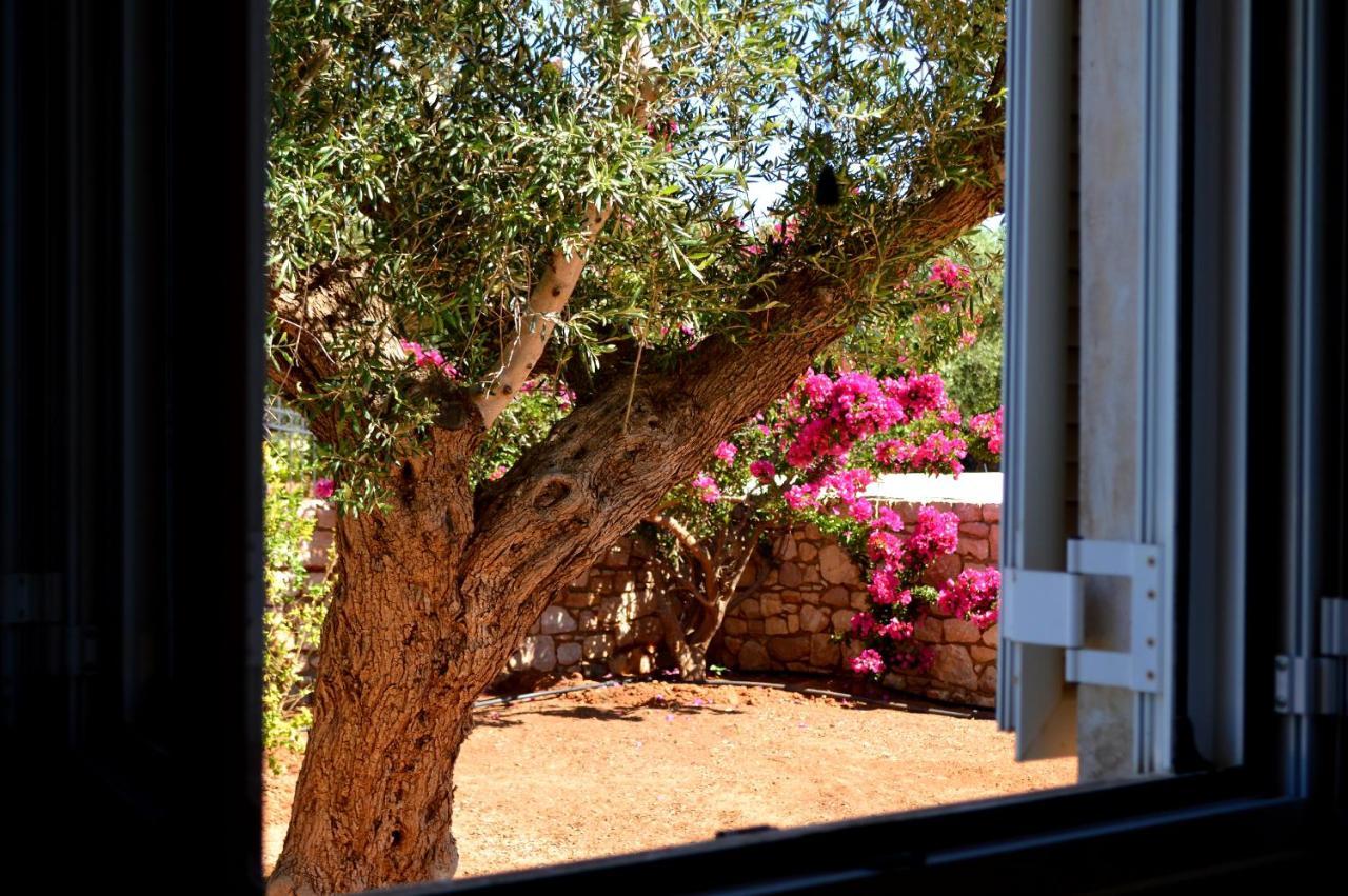 Villa Stamatis Agii Apostoli  Extérieur photo